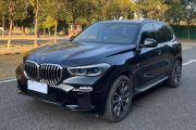 宝马X5(进口) 2020款 xDrive 40i M运动套装